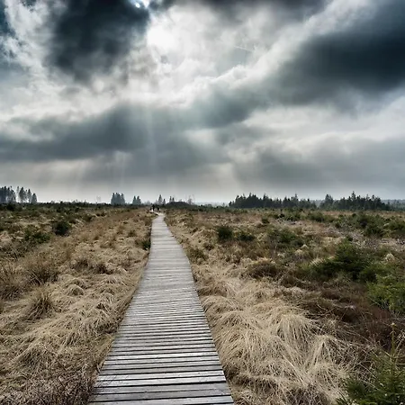 En Ardennes - * Malmedy