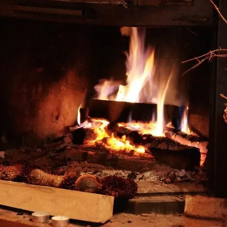 En Ardennes - Chalet