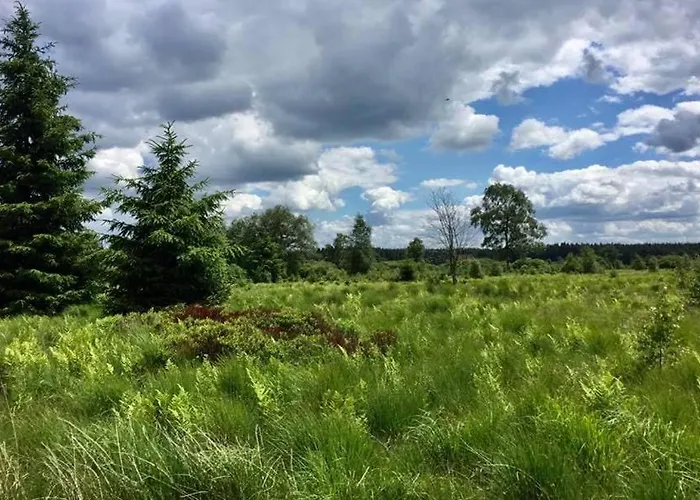 En Ardennes - Domek alpejski Malmedy