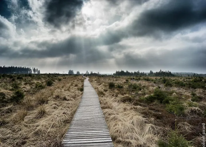 En Ardennes - * Мальмеди